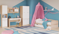 package251_color20494_2