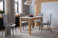 Стол обеденный раскладной Цезарь  (Белое дерево/Дуб крафт золотой)