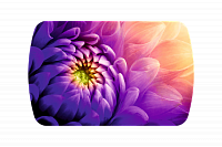 Стол обеденный Бостон на опоре триумф-хром (Астра)