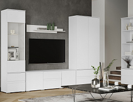 Плейона (Белый древесные поры)